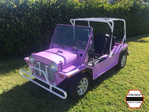 affordable golf cart rental, golf cart rent fort pierce, cart rental fort pierce