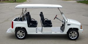 affordable golf cart rental, golf cart rent fort pierce, cart rental fort pierce