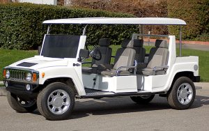 affordable golf cart rental, golf cart rent fort pierce, cart rental fort pierce