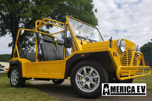 golf cart rental fort pierce, fort pierce golf cart rental, street legal golf car