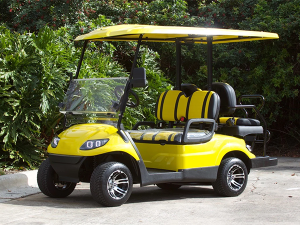 fort pierce golf cart rental, golf cart rental, golf cars for rent